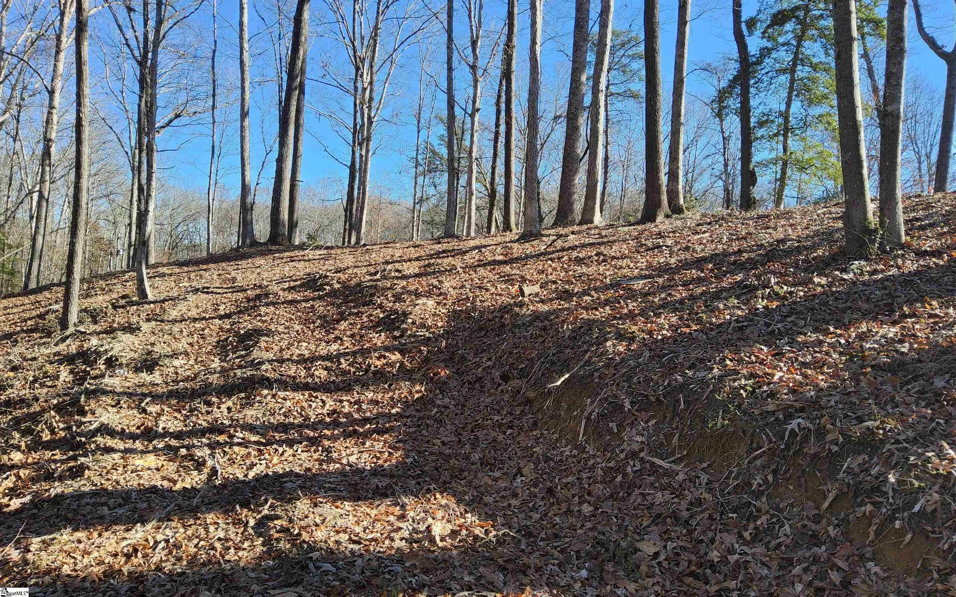 Property image 3 at 122 Harvest Drive, Easley, SC 29640