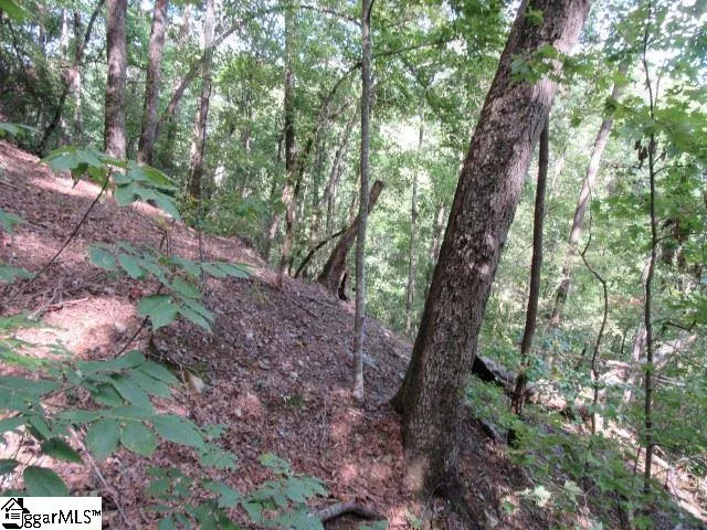 Property image 4 at 832 Whispering Falls Drive, Pickens, SC 29671