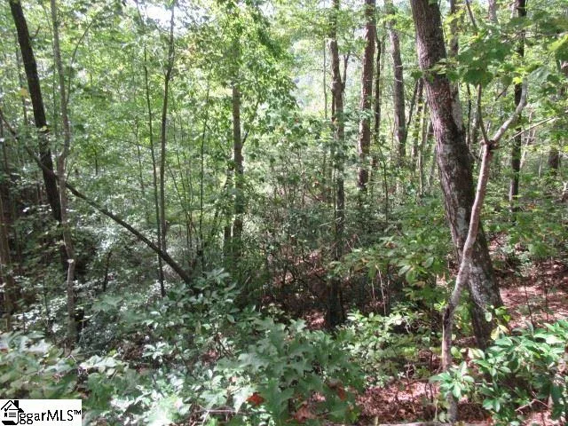 Property image 2 at 103 Rock Ridge, Pickens, SC 29671