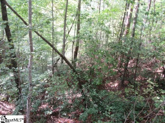 Property image 3 at 103 Rock Ridge, Pickens, SC 29671