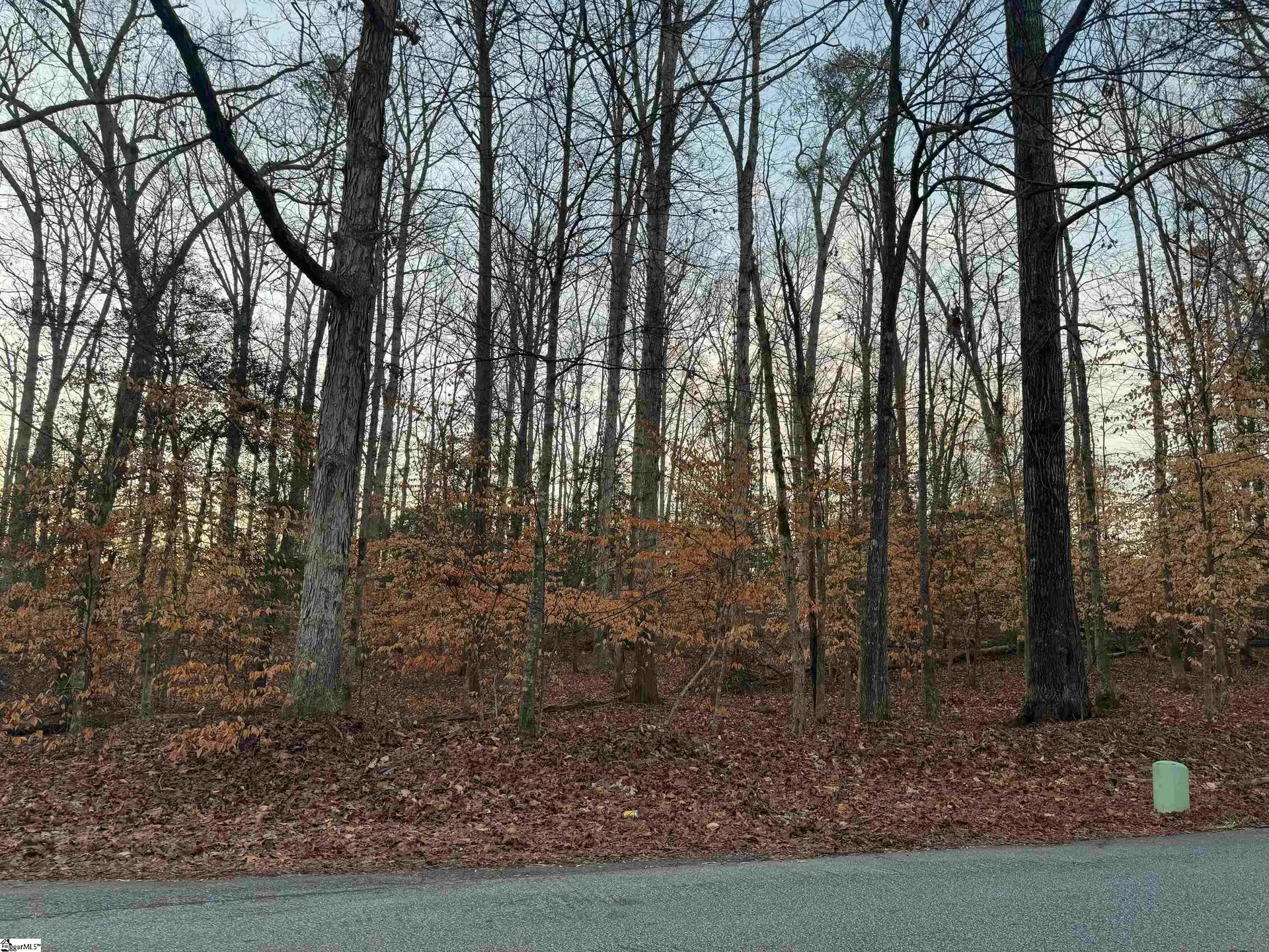 Property image 5 at 00 Pistol Club Road, Easley, SC 29640