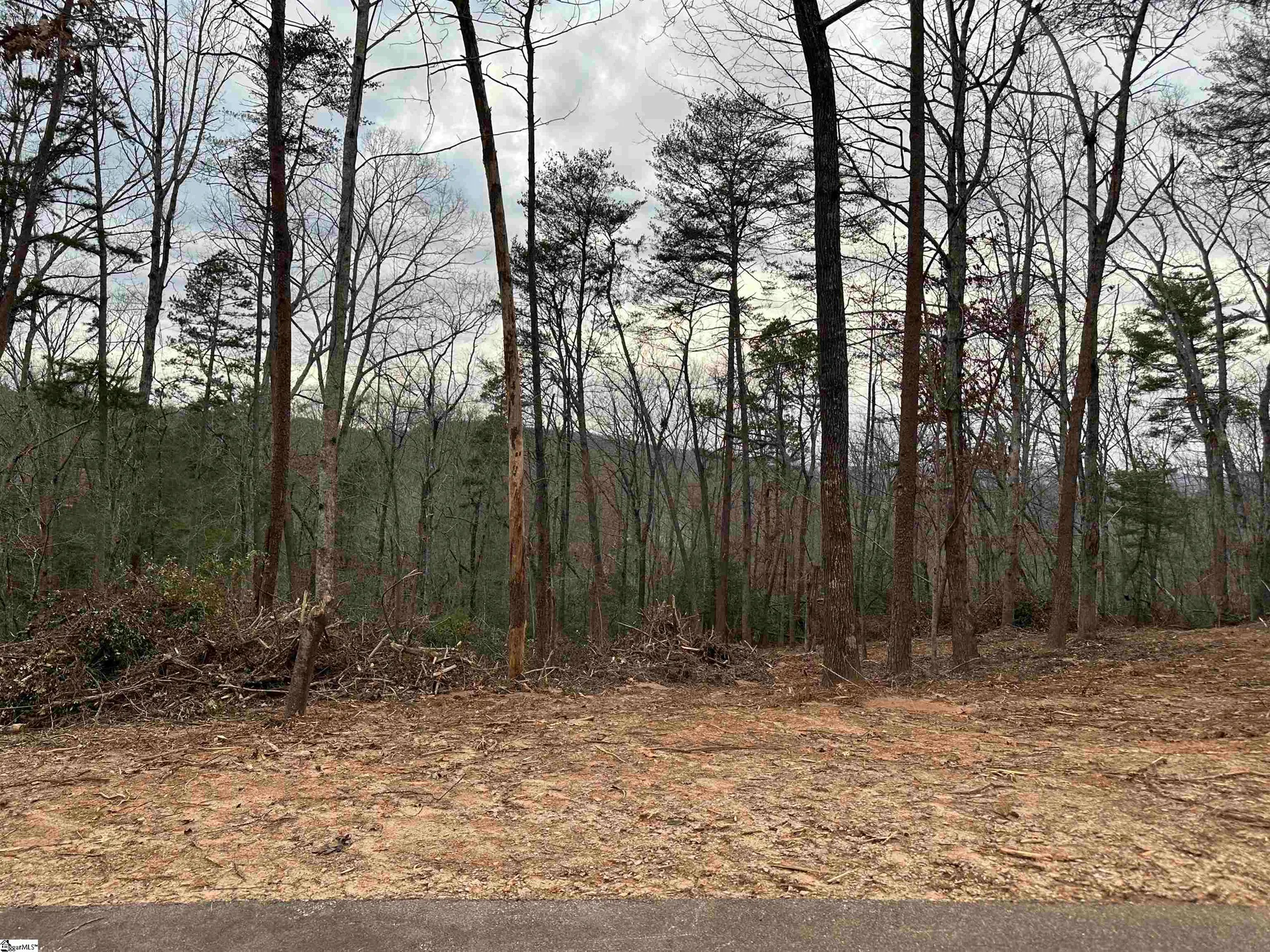Property image 5 at 211 Luberon Lane, Travelers Rest, SC 29690