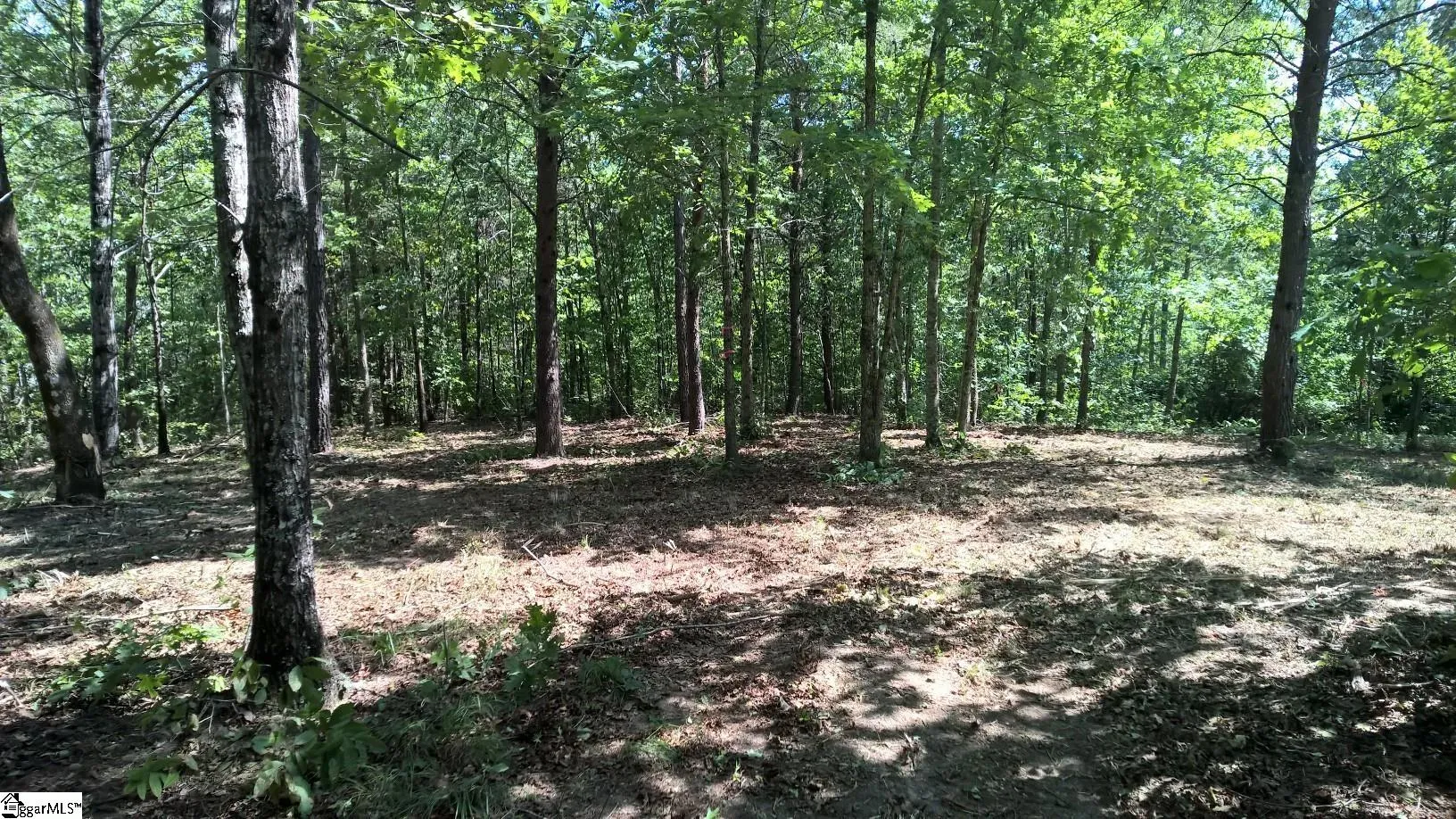 Property image 2 at 10 Darting Sparrow Way, Marietta, SC 29661
