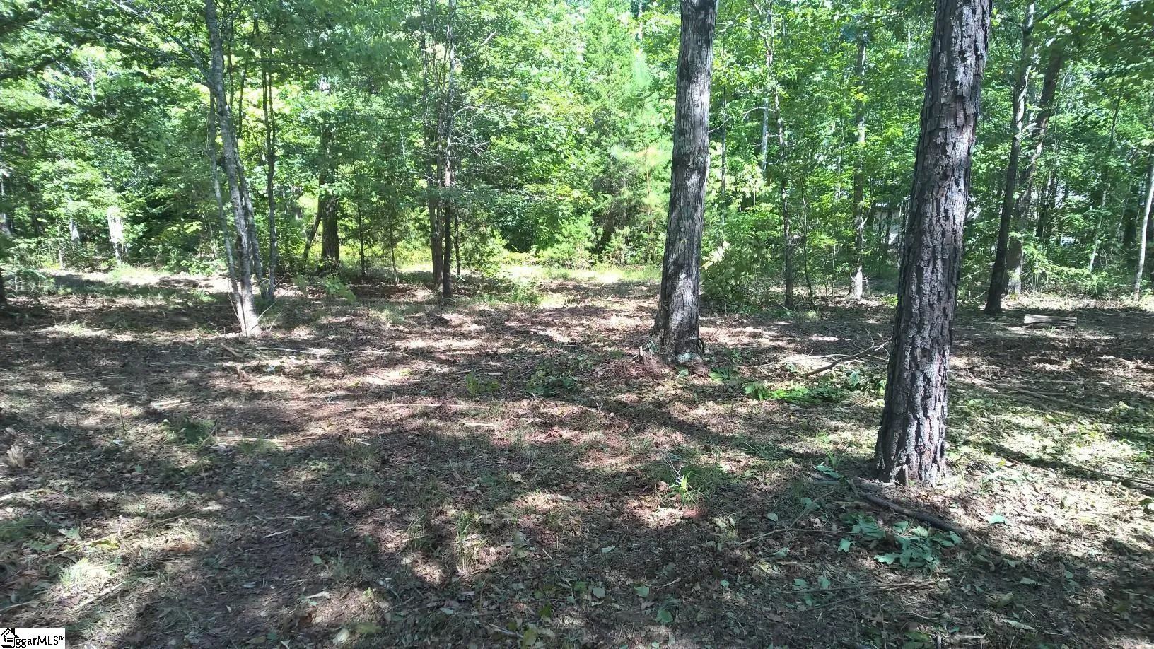 Property image 3 at 10 Darting Sparrow Way, Marietta, SC 29661