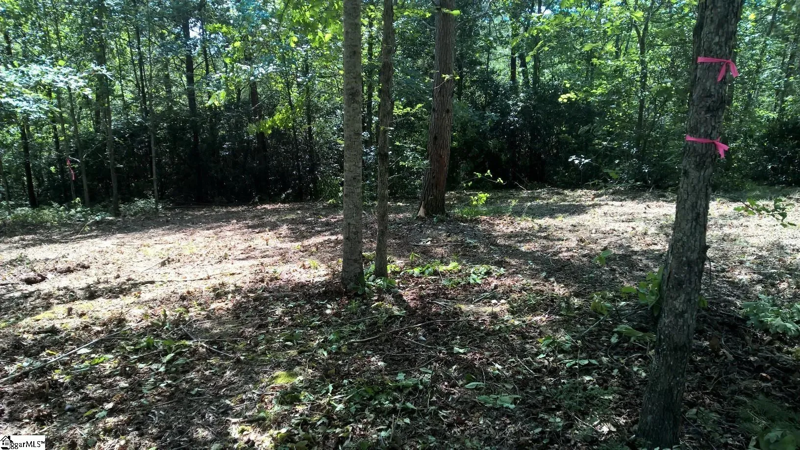 Property image 4 at 10 Darting Sparrow Way, Marietta, SC 29661