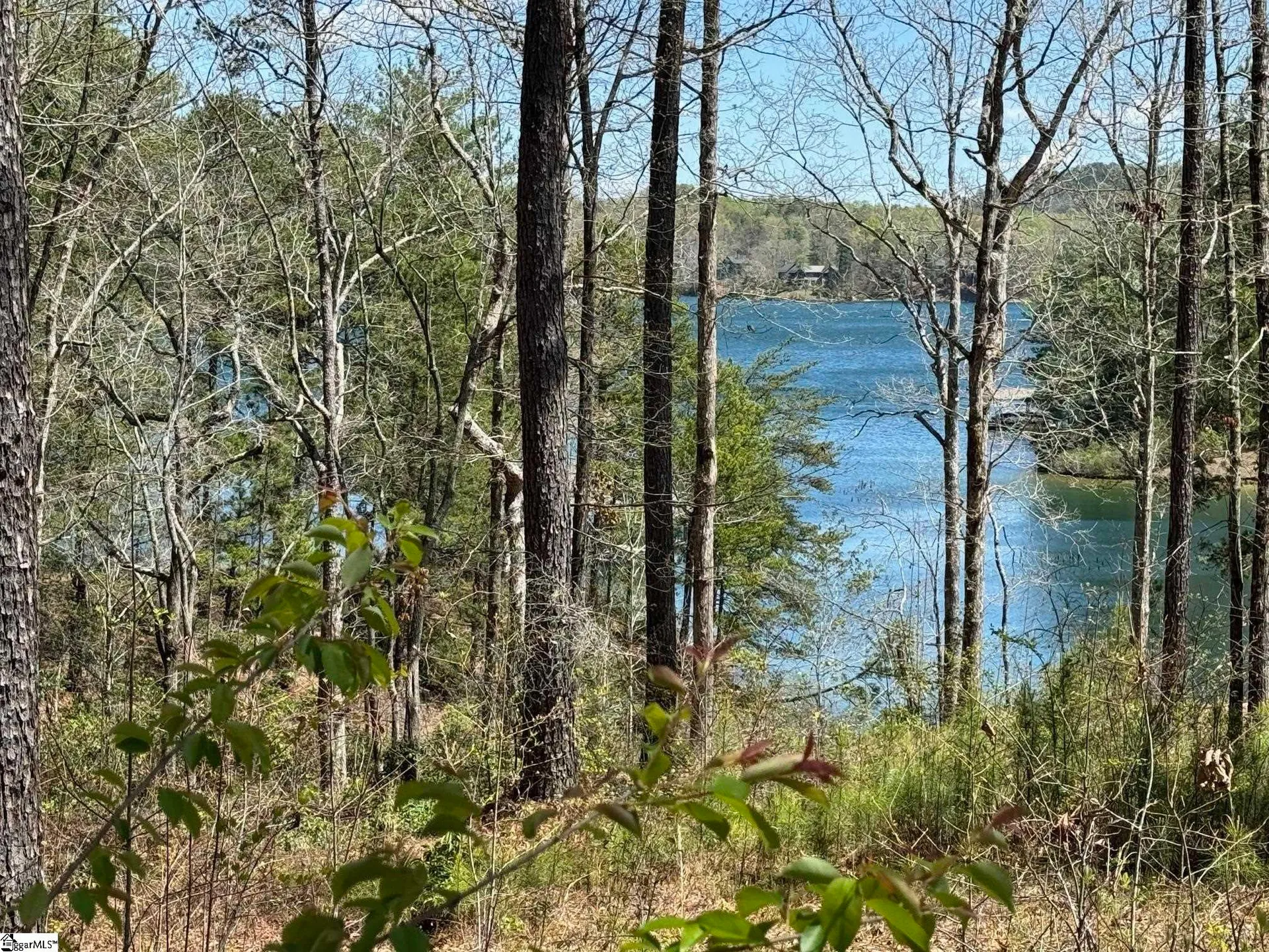 Property image 5 at NP13 Old Chapman Bridge Road, Salem, SC 29676