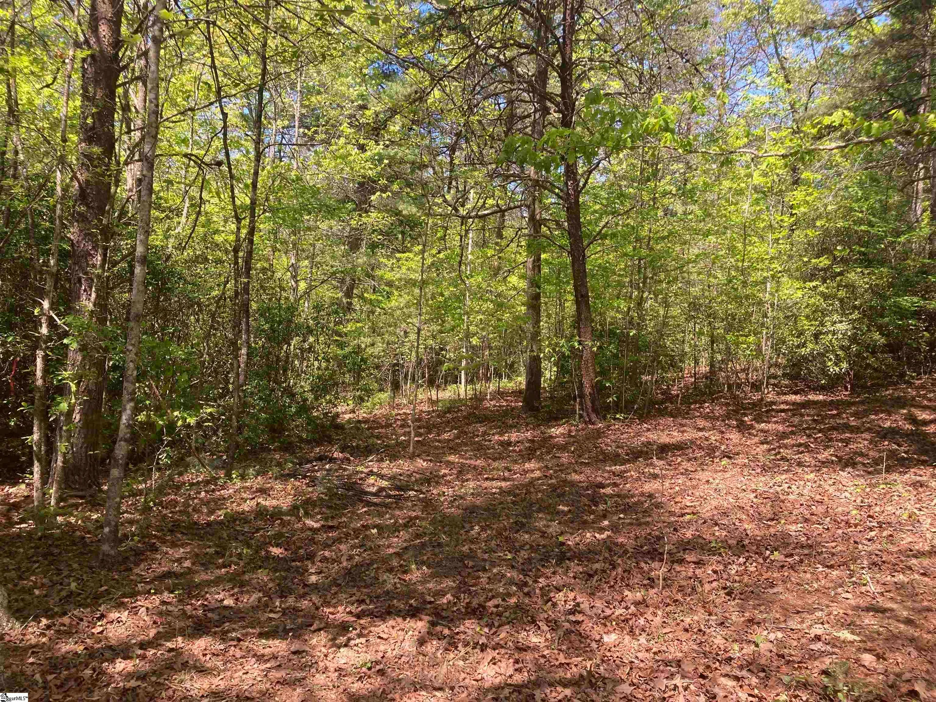 Property image 2 at 2 Darting Sparrow Way, Marietta, SC 29661