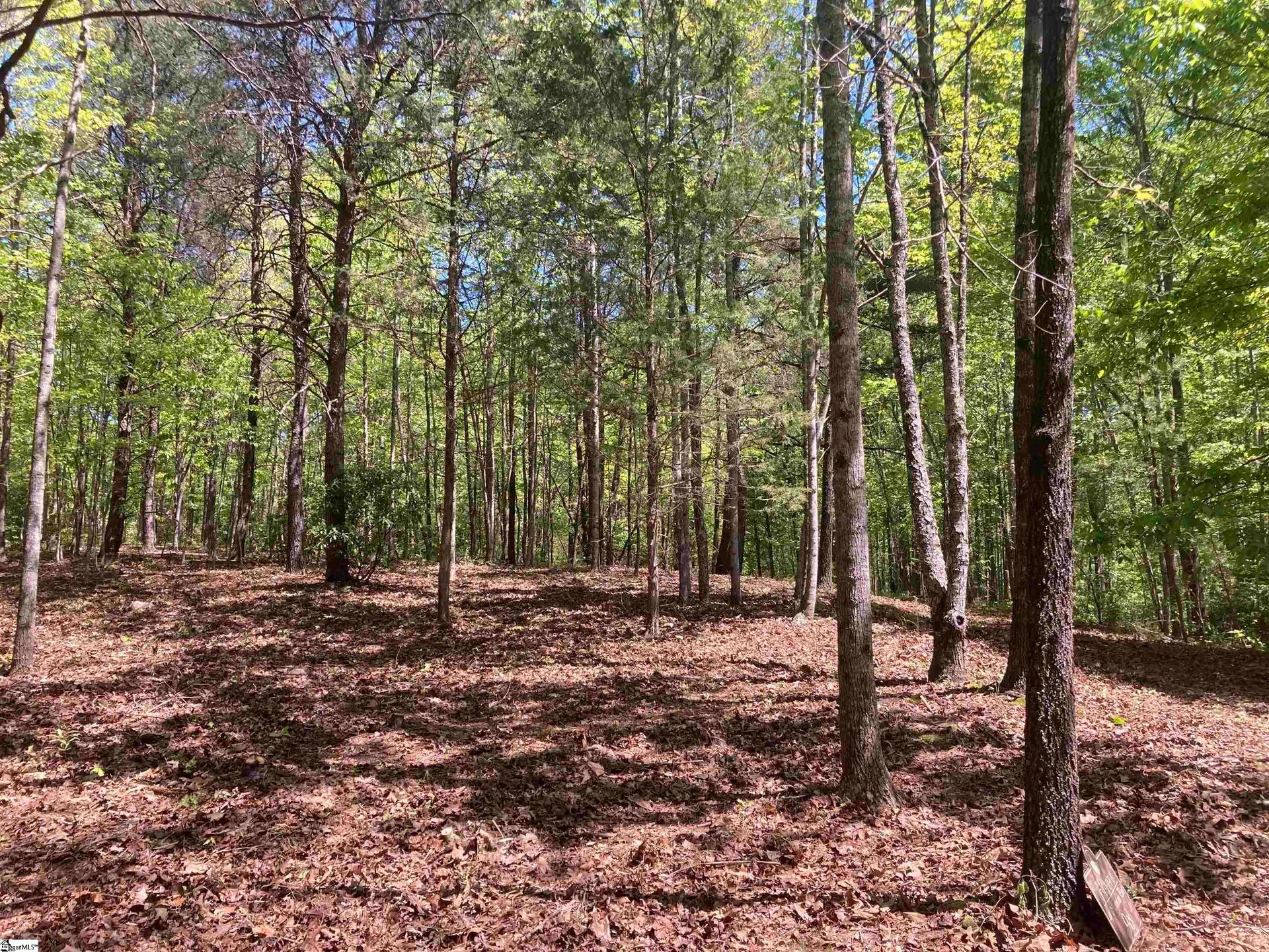 Property image 3 at 2 Darting Sparrow Way, Marietta, SC 29661
