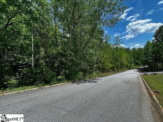 Property image 2 at 0 Old Rockhouse Road, Greenville, SC 29609