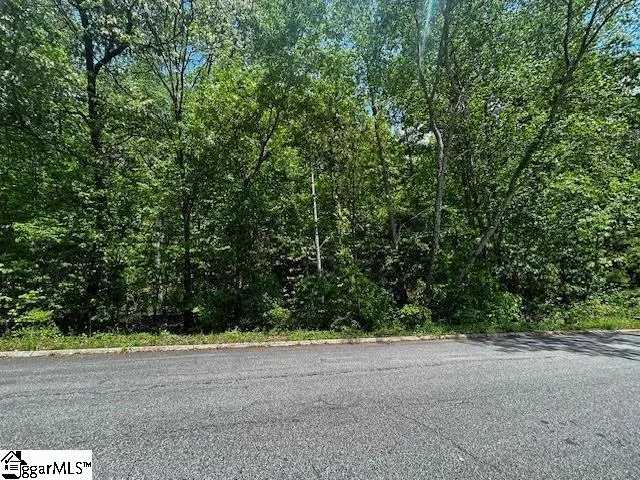 Property image 3 at 0 Old Rockhouse Road, Greenville, SC 29609
