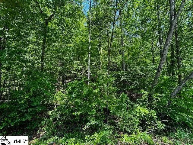 Property image 4 at 0 Old Rockhouse Road, Greenville, SC 29609