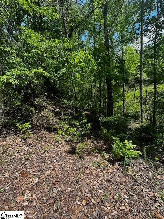 Property image 2 at 00 Old Rockhouse Road, Greenville, SC 29609