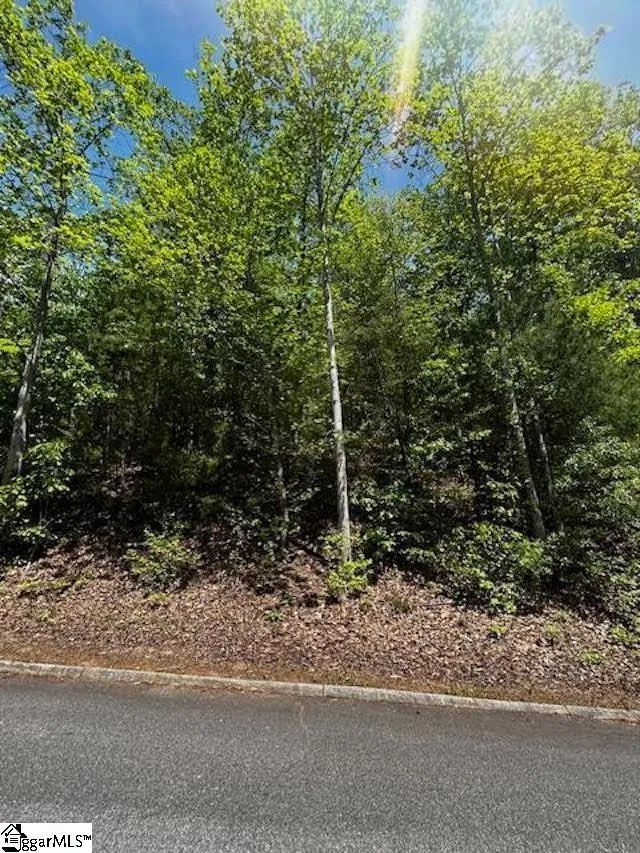Property image 3 at 00 Old Rockhouse Road, Greenville, SC 29609