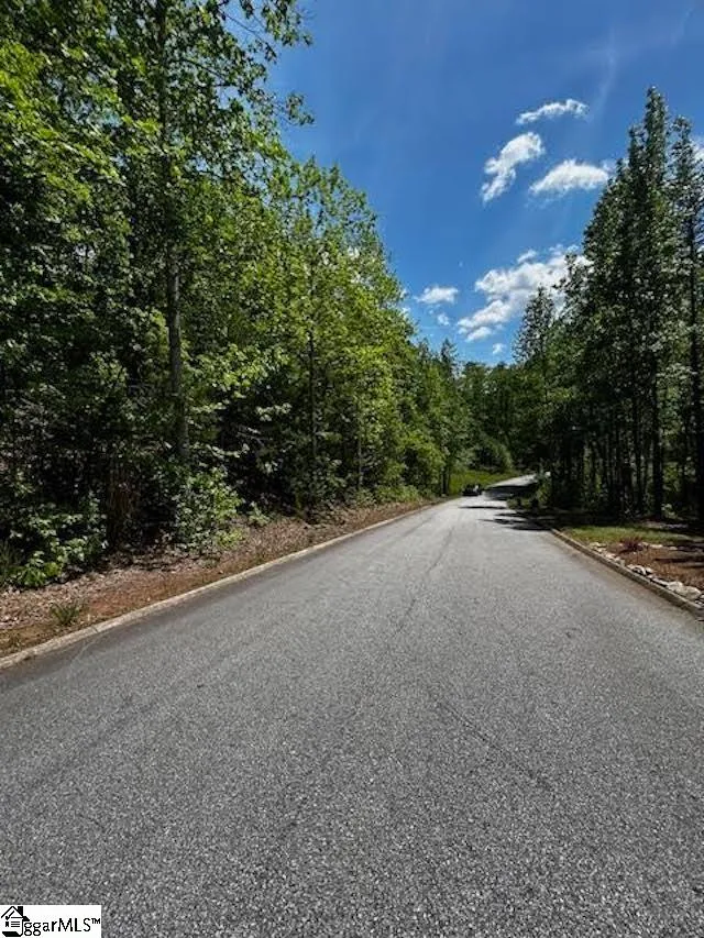 Property image 5 at 00 Old Rockhouse Road, Greenville, SC 29609