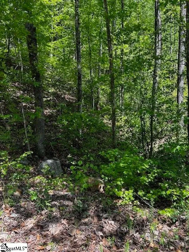 000 Rockhouse Road