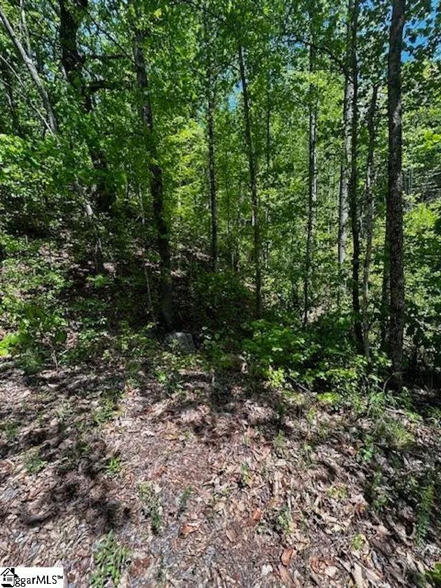 Property image 2 at 000 Rockhouse Road, Greenville, SC 29609