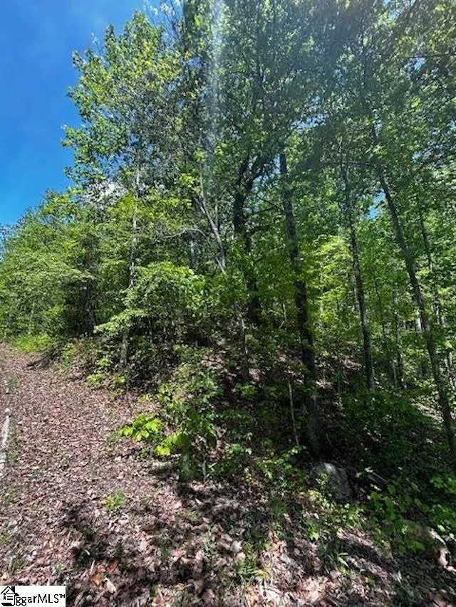 Property image 3 at 000 Rockhouse Road, Greenville, SC 29609