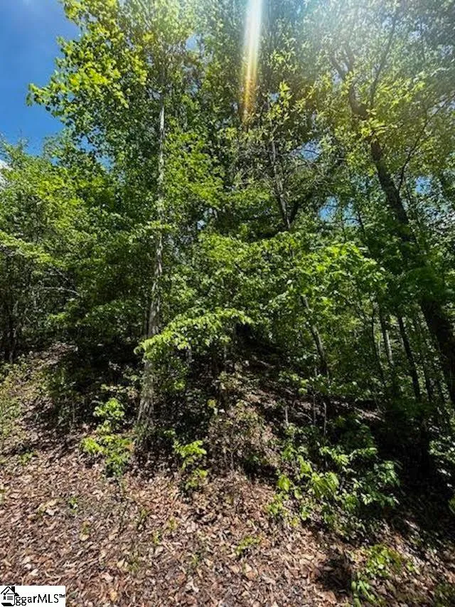 Property image 4 at 000 Rockhouse Road, Greenville, SC 29609