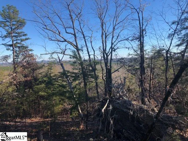 Property image 3 at 00 Stone Terrace Way, Salem, SC 29676