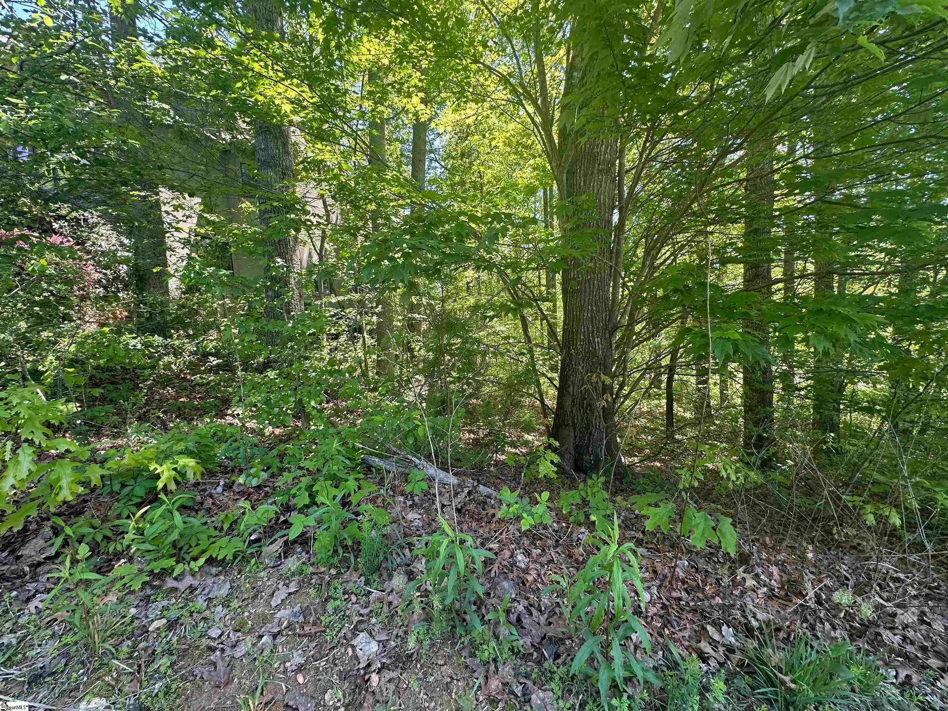 Property image 3 at 39 Timberline Drive, Travelers Rest, SC 29690