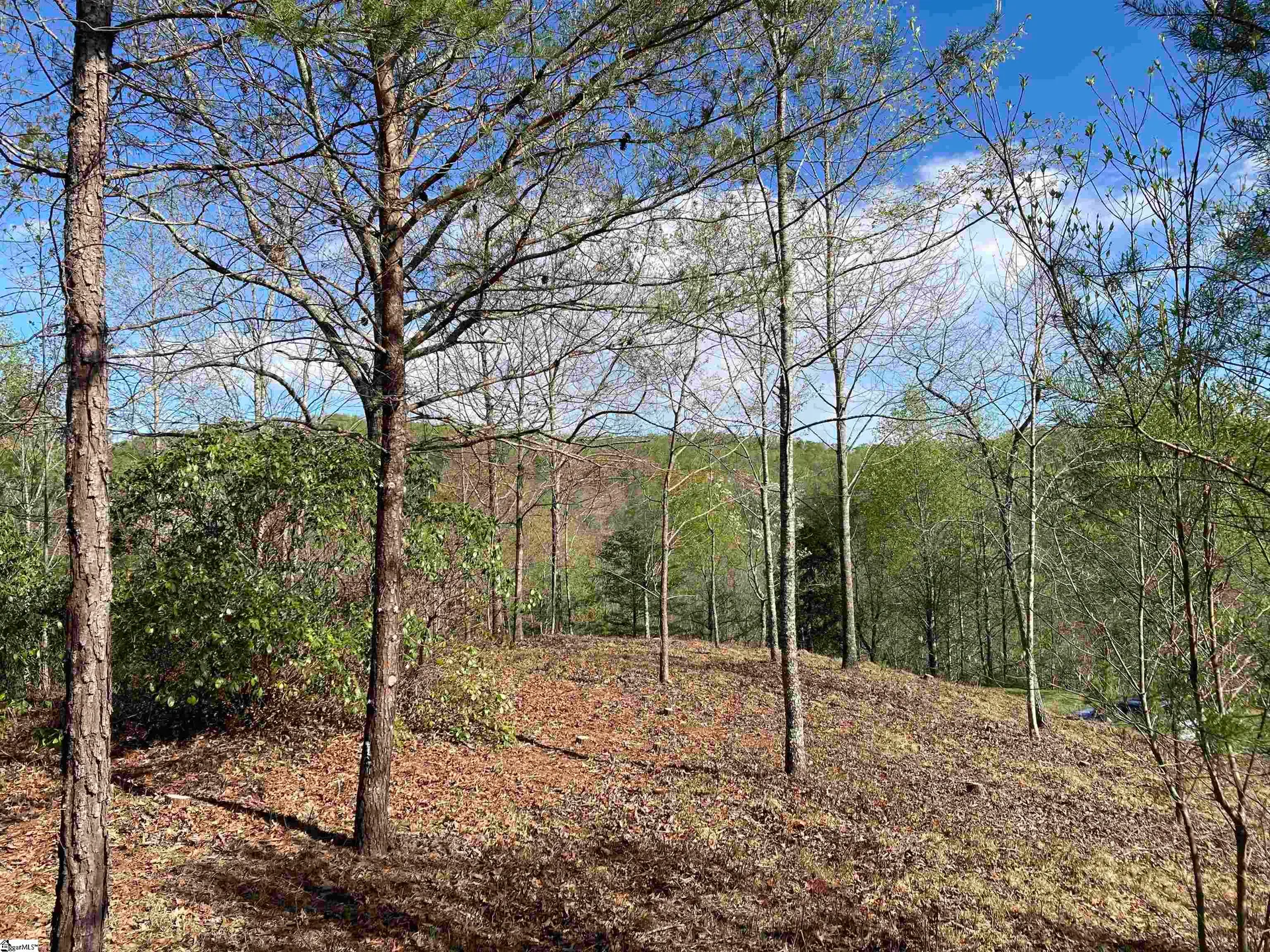 775 Blue Bonnet Trail