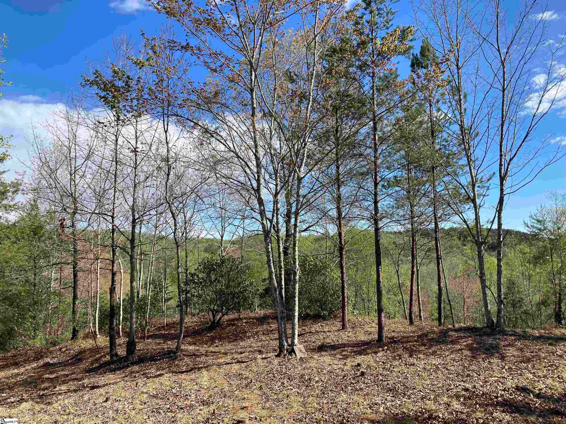 Property image 2 at 775 Blue Bonnet Trail, Marietta, SC 29661