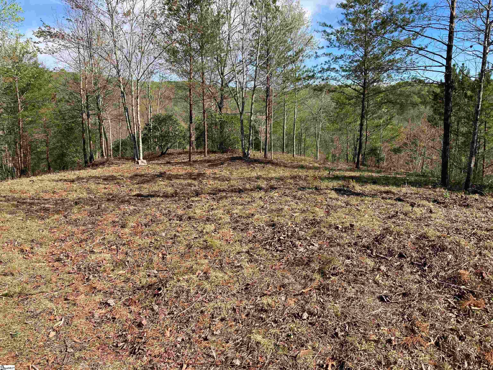 Property image 3 at 775 Blue Bonnet Trail, Marietta, SC 29661