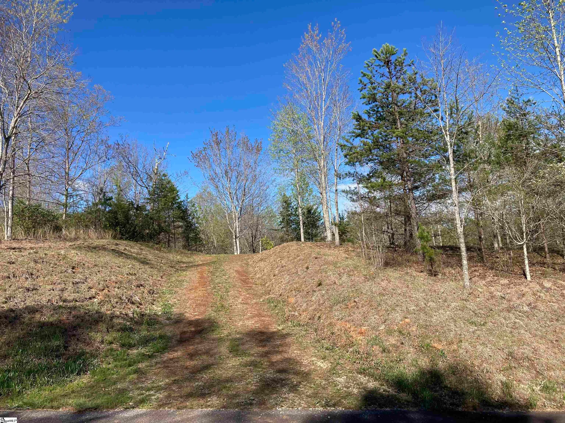 Property image 4 at 775 Blue Bonnet Trail, Marietta, SC 29661