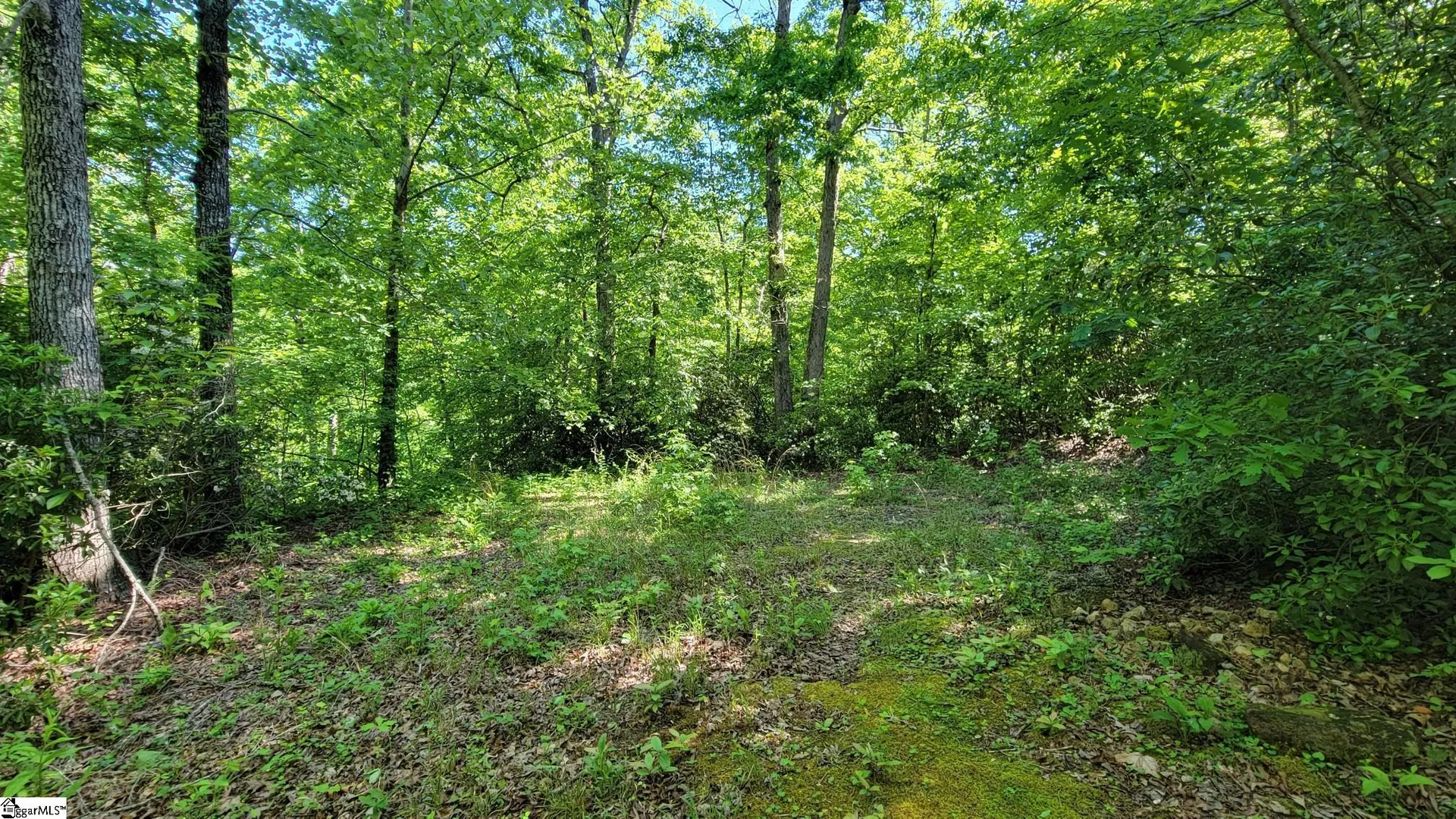 Property image 5 at 11 Terra Trace Way, Travelers Rest, SC 29690