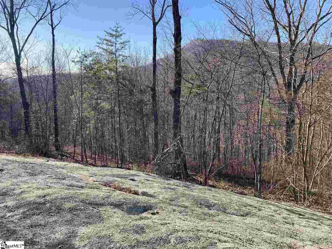 Property image 2 at 16 Heather Hill Lane, Landrum, SC 29356