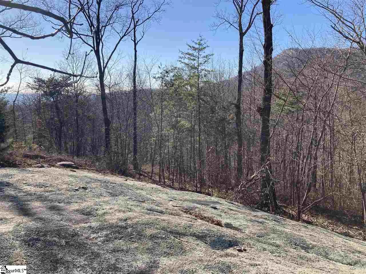 Property image 3 at 16 Heather Hill Lane, Landrum, SC 29356