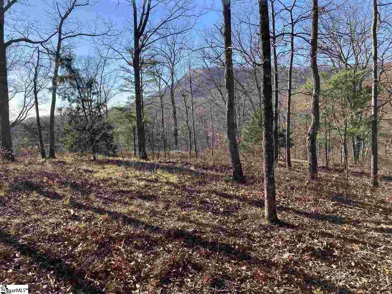 Property image 4 at 16 Heather Hill Lane, Landrum, SC 29356