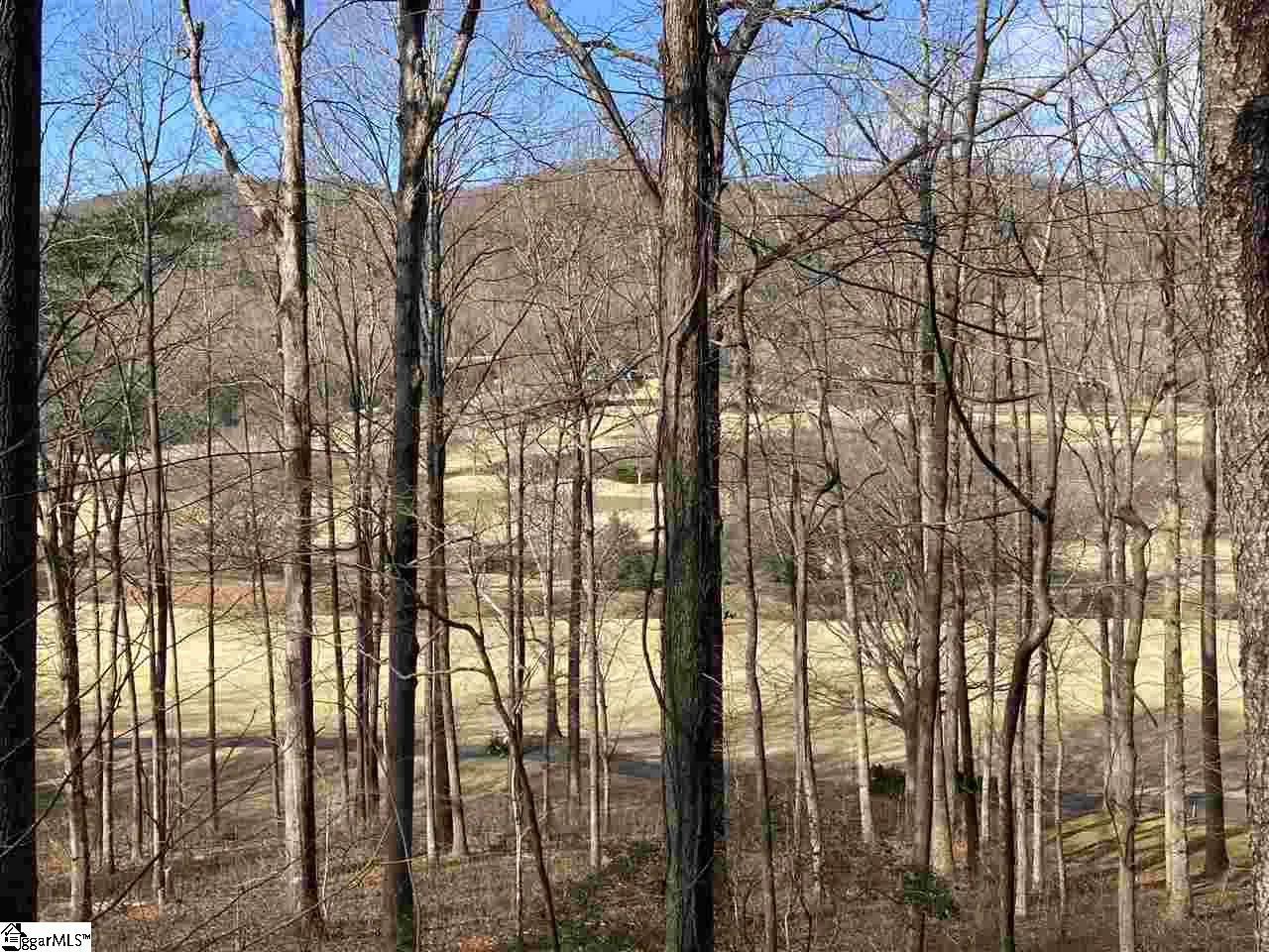 Property image 3 at 115 Foxboro Road, Travelers Rest, SC 29690