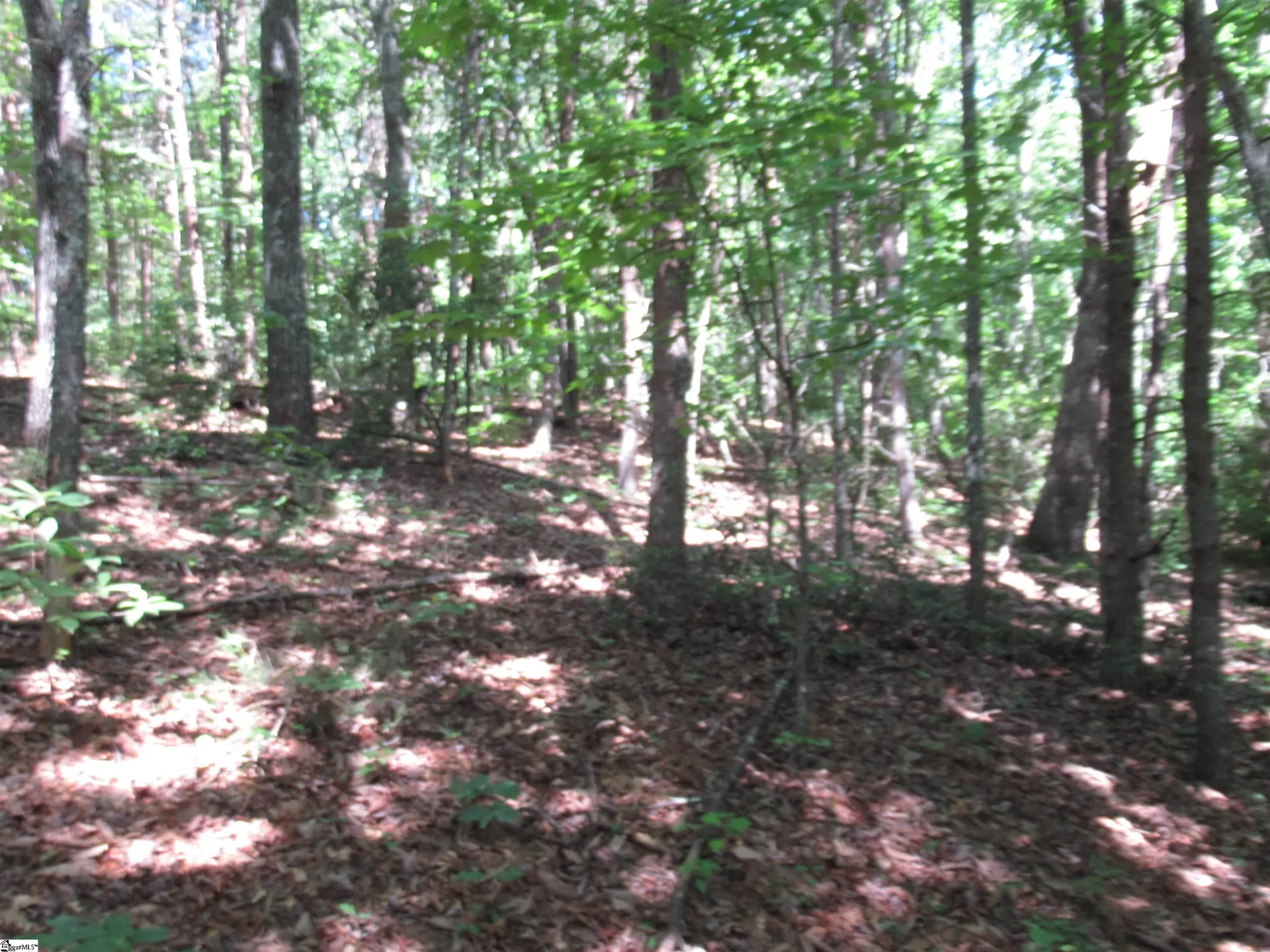 221 River Bluff Road
