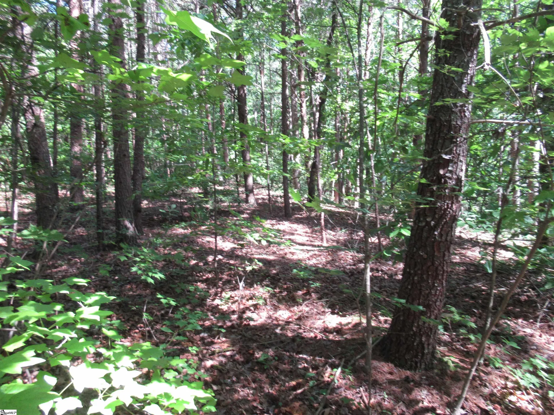 Property image 5 at 221 River Bluff Road, Cleveland, SC 29635
