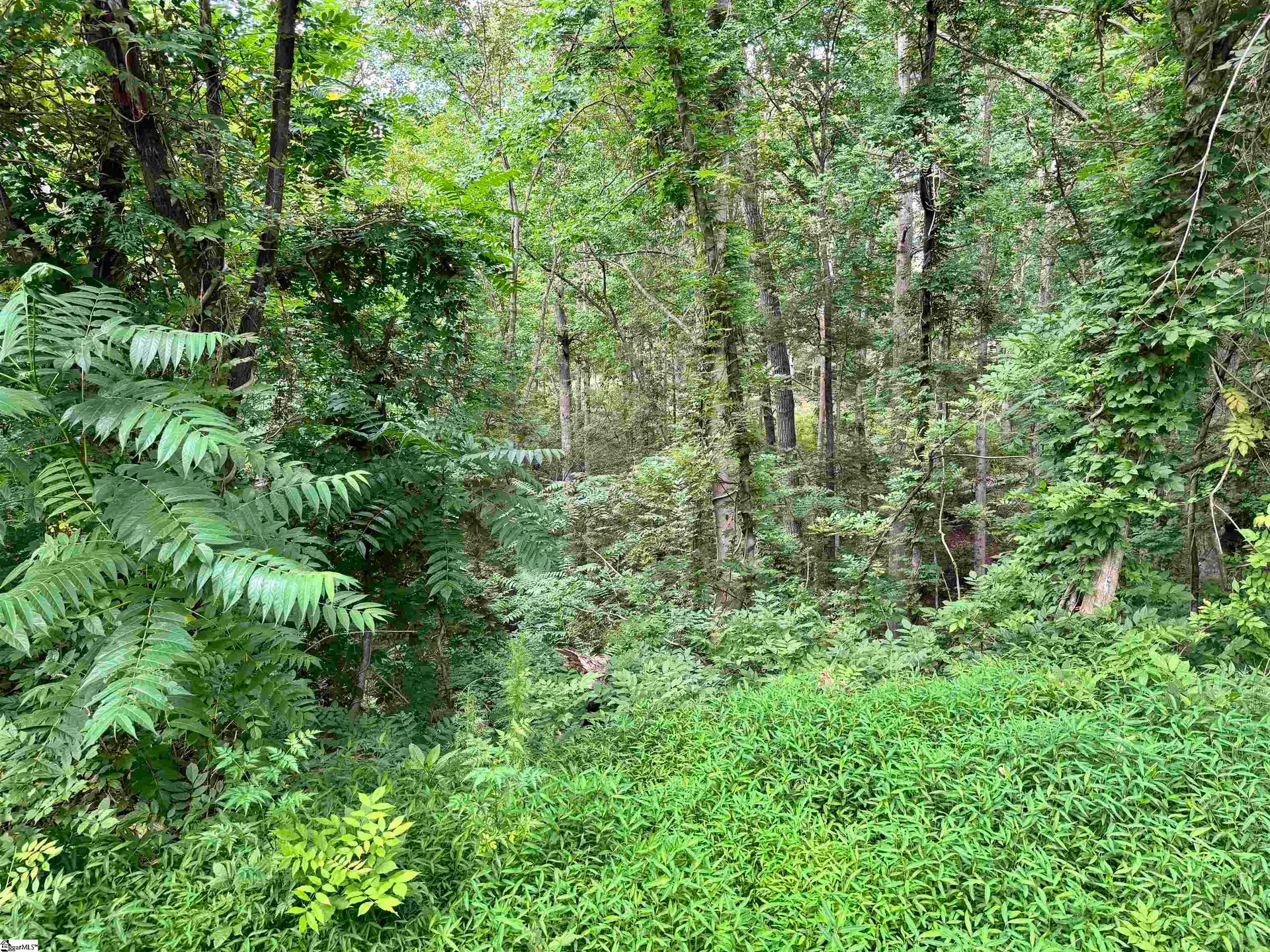 White Oak Hill, Greenville Community