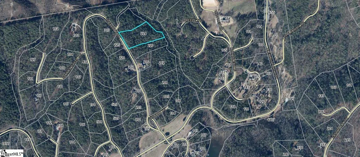 Property image 2 at 224 Vineyard Park, Sunset, SC 29685
