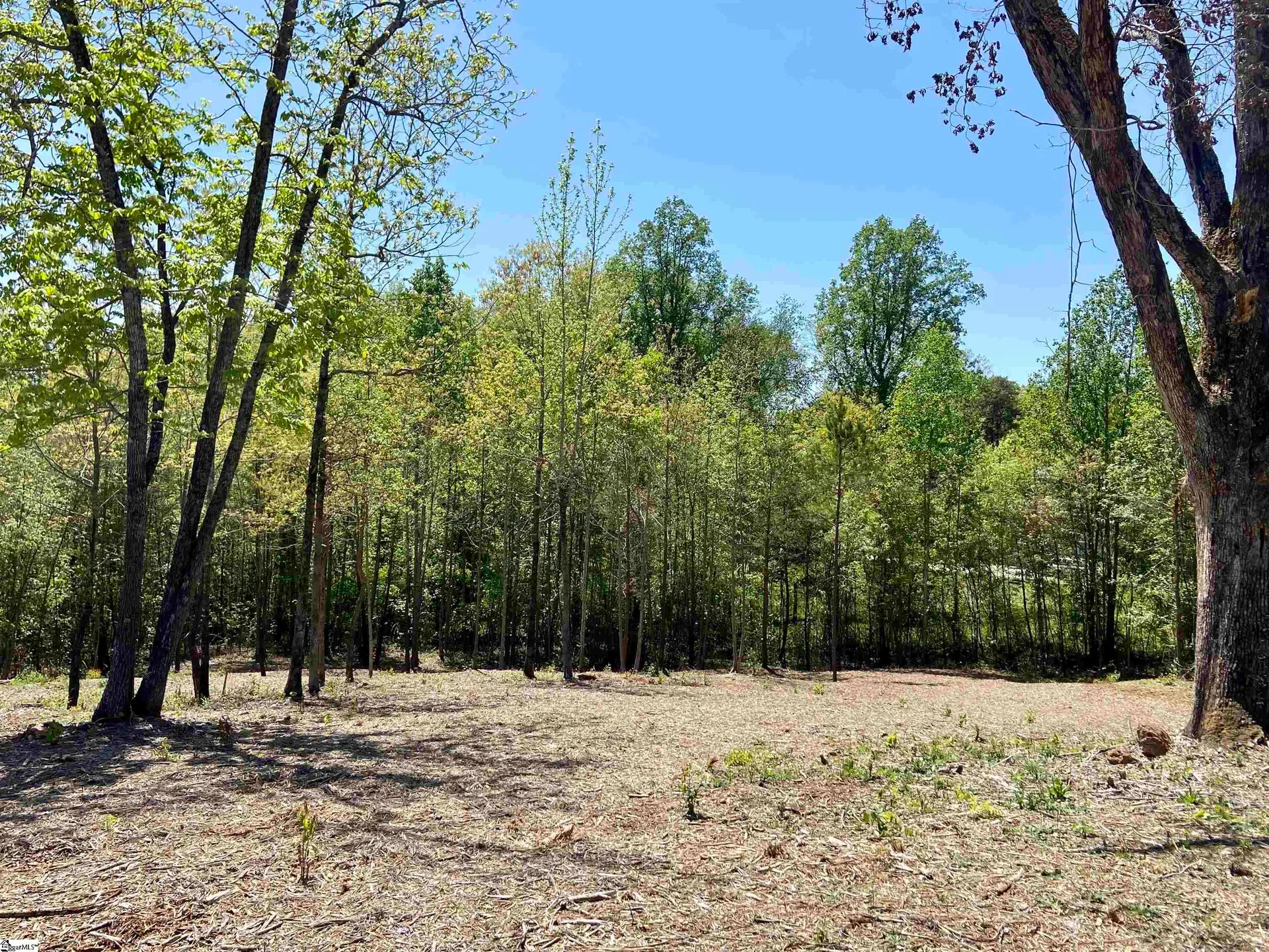 Property image 4 at 108 Pinelands Place, Travelers Rest, SC 29690