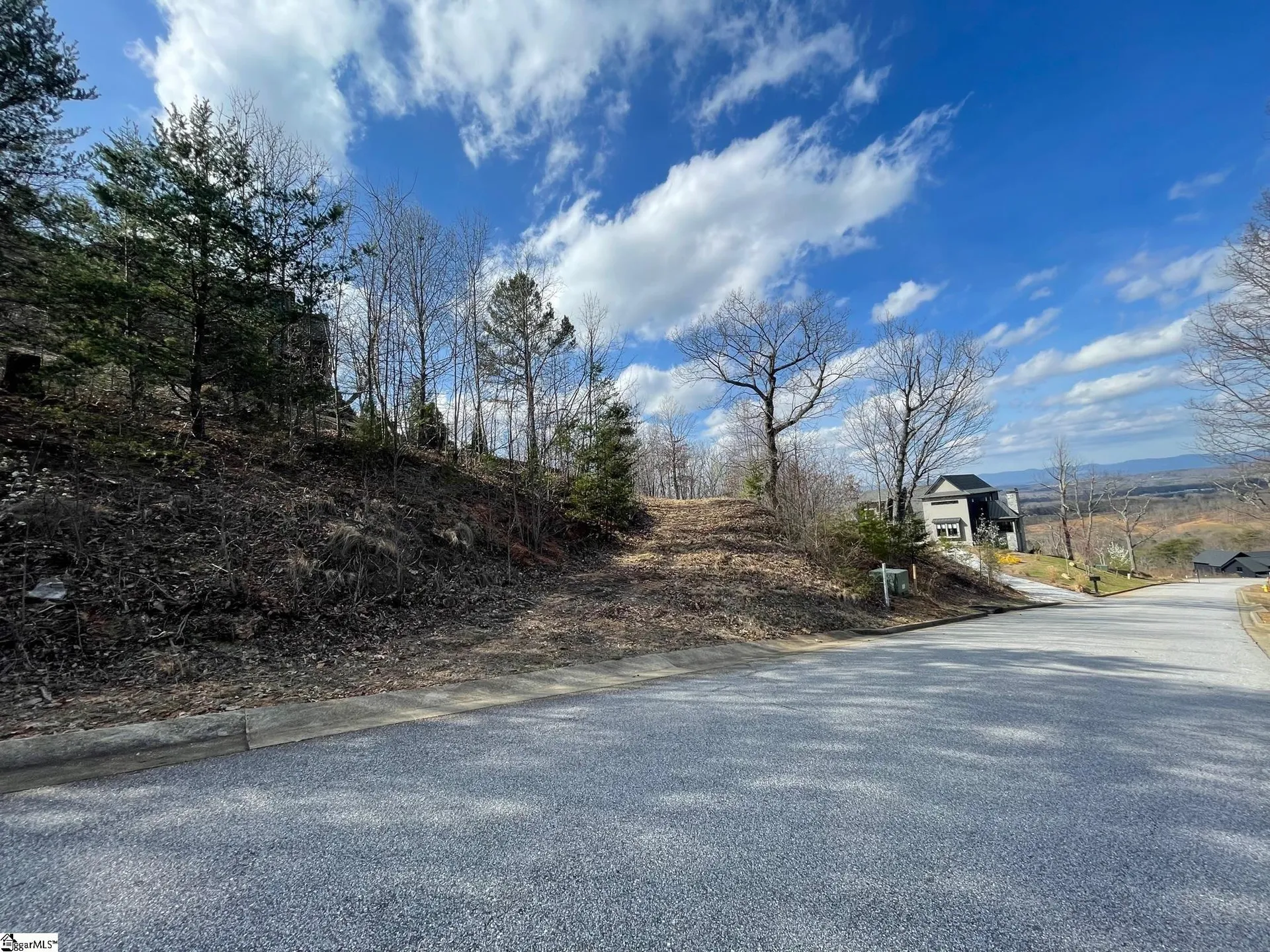 Property image 2 at 00 Tamala Gwinnett Drive, Greenville, SC 29650