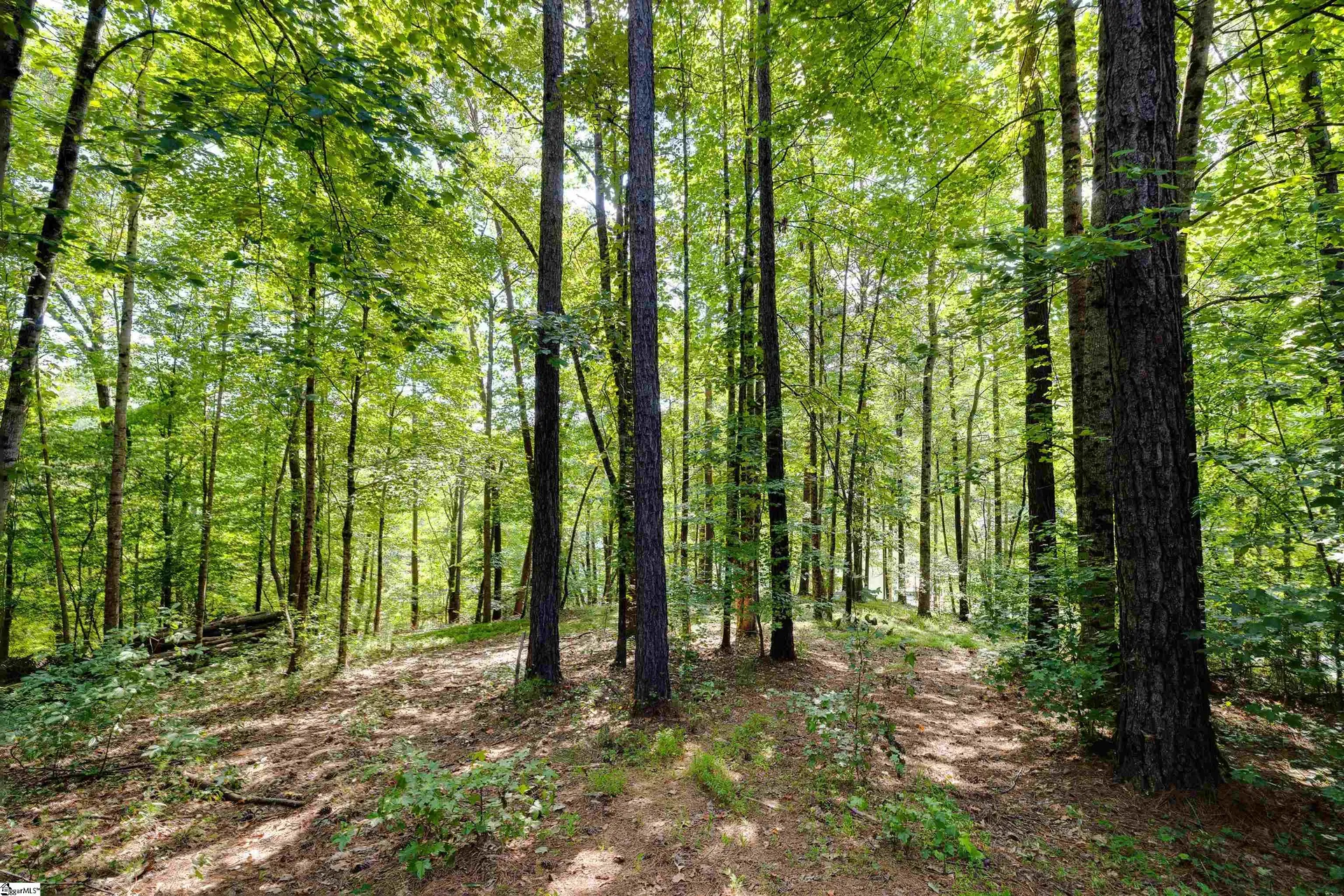 Property image 4 at 131 Cross Lake Trail, Six Mile, SC 29682-0000