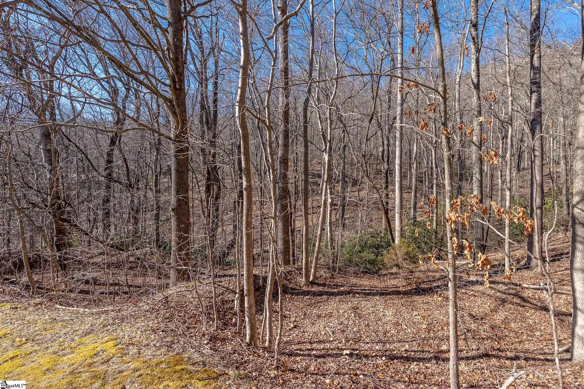 Property image 2 at 224 Southview Ledge Road, Landrum, SC 29356-3329