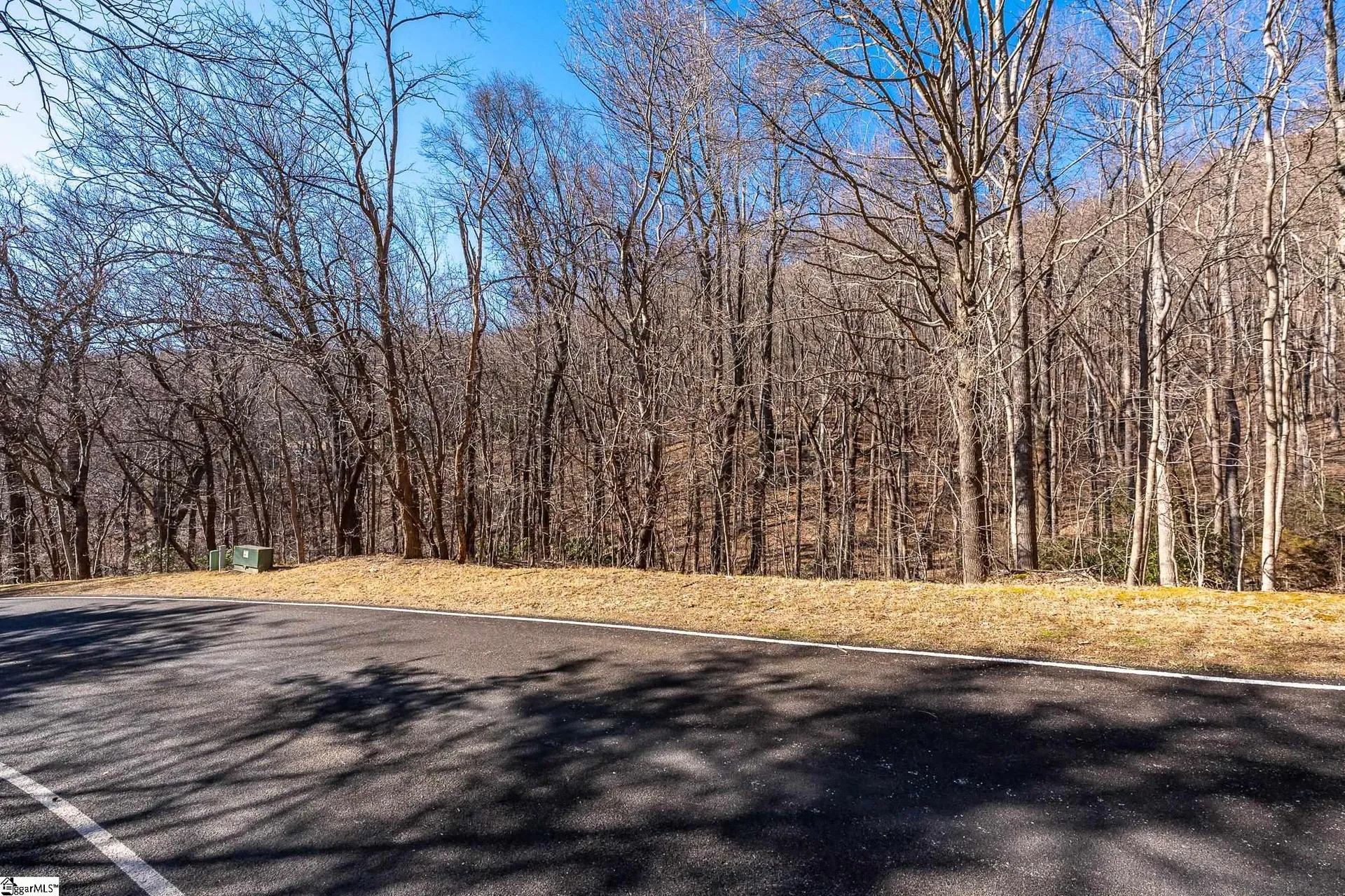Property image 3 at 224 Southview Ledge Road, Landrum, SC 29356-3329