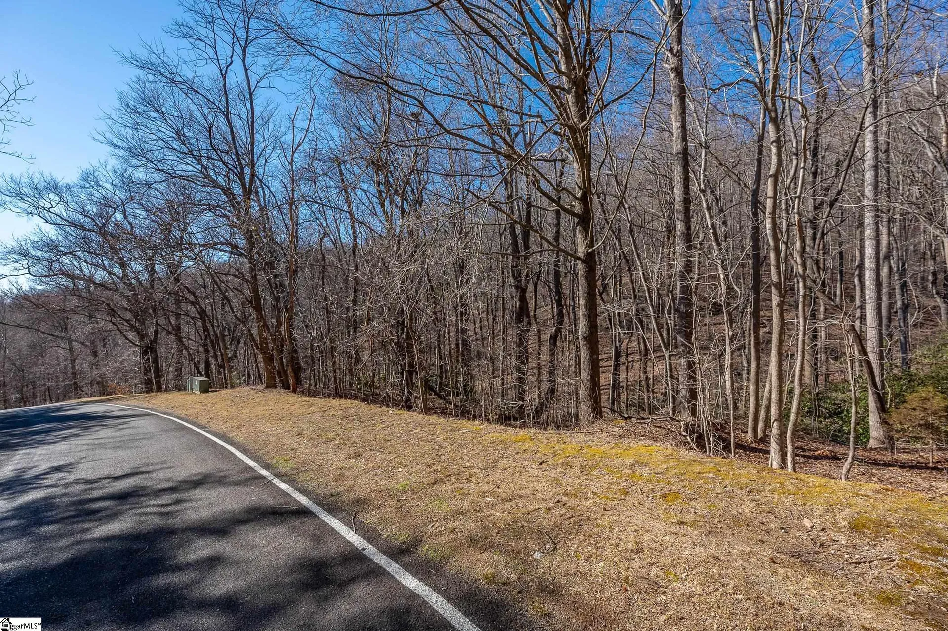 Property image 4 at 224 Southview Ledge Road, Landrum, SC 29356-3329