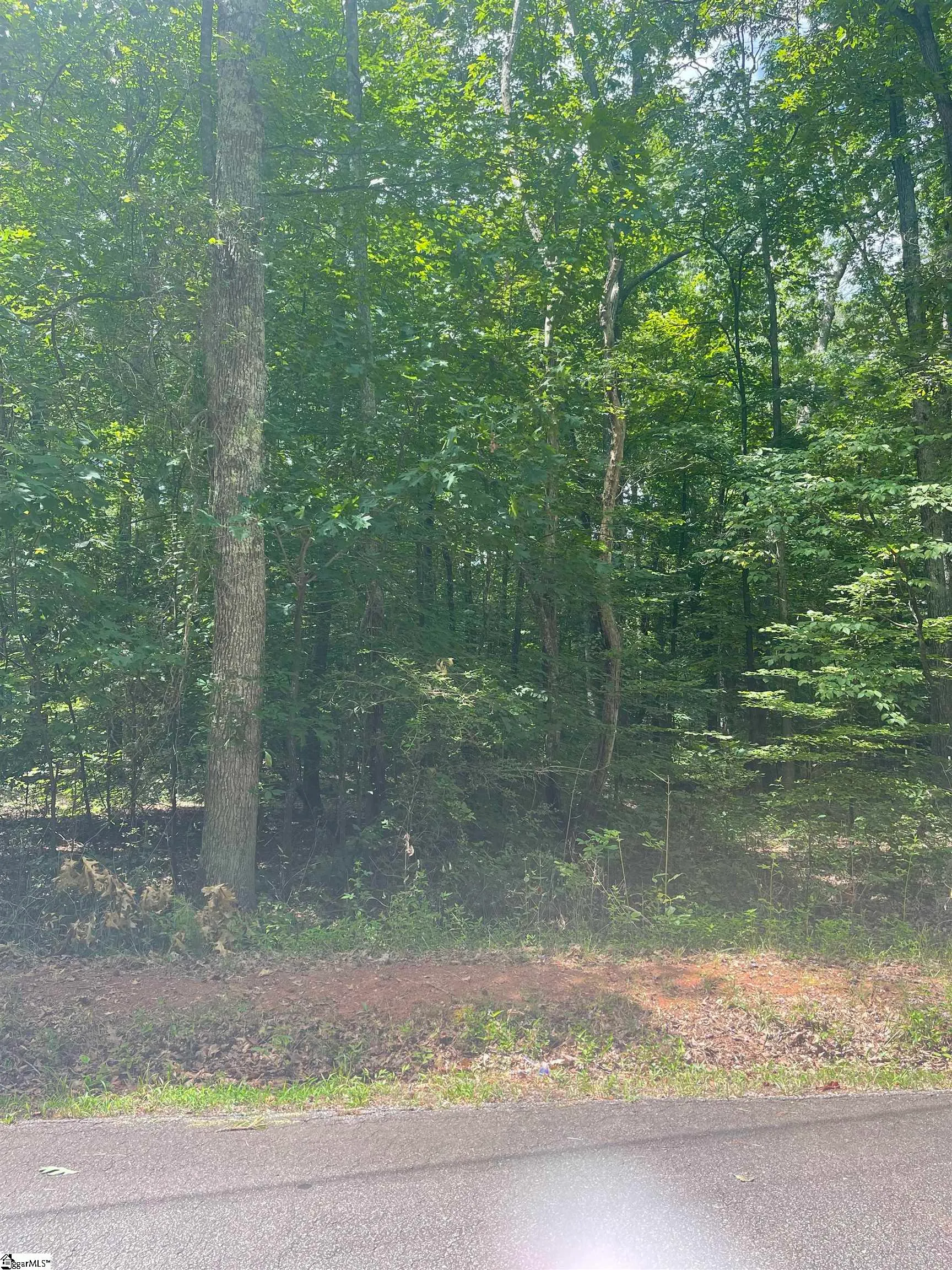 Property image 2 at 0 Manhattan Boulevard, Piedmont, SC 29763