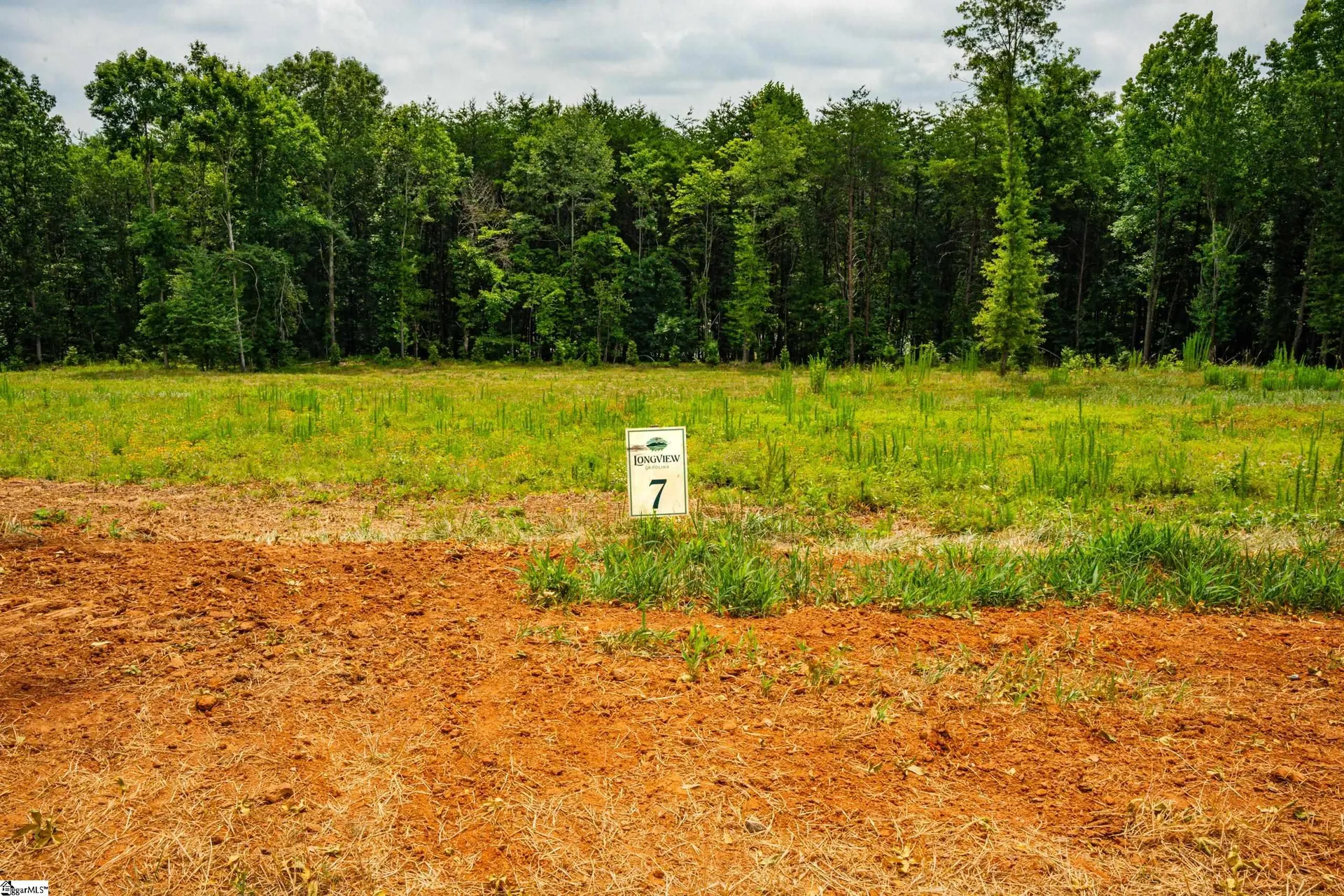 Longview Carolina, Easley Community