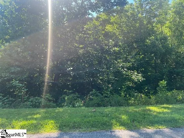 Property image 2 at 115 Cherokee Rose Trail, Marietta, SC 29661