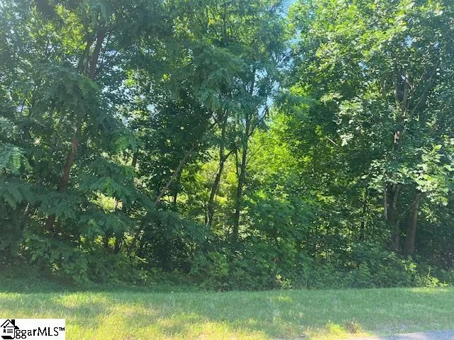 Property image 3 at 115 Cherokee Rose Trail, Marietta, SC 29661