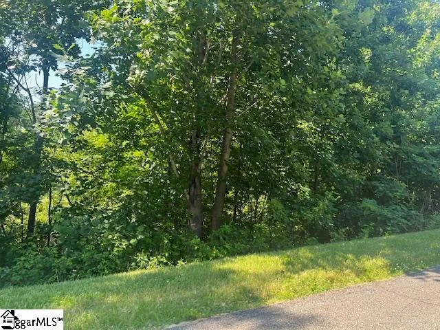 Property image 4 at 115 Cherokee Rose Trail, Marietta, SC 29661