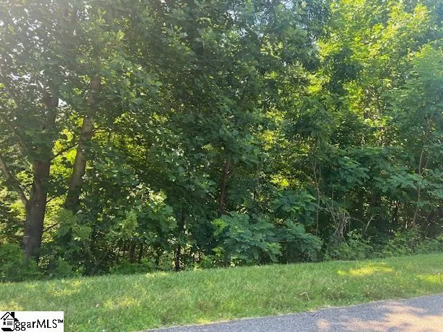 Property image 5 at 115 Cherokee Rose Trail, Marietta, SC 29661