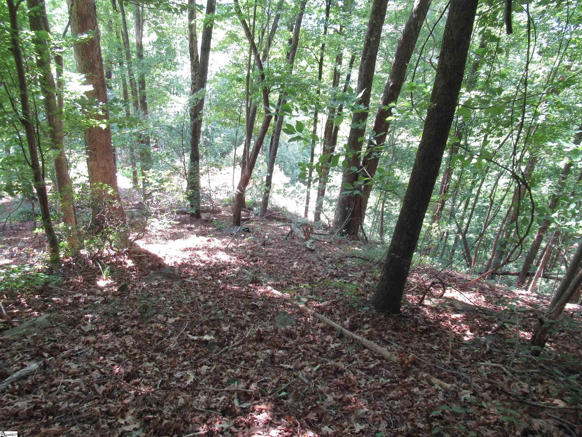 Property image 4 at 808 Whispering Falls Drive, Pickens, SC 29671